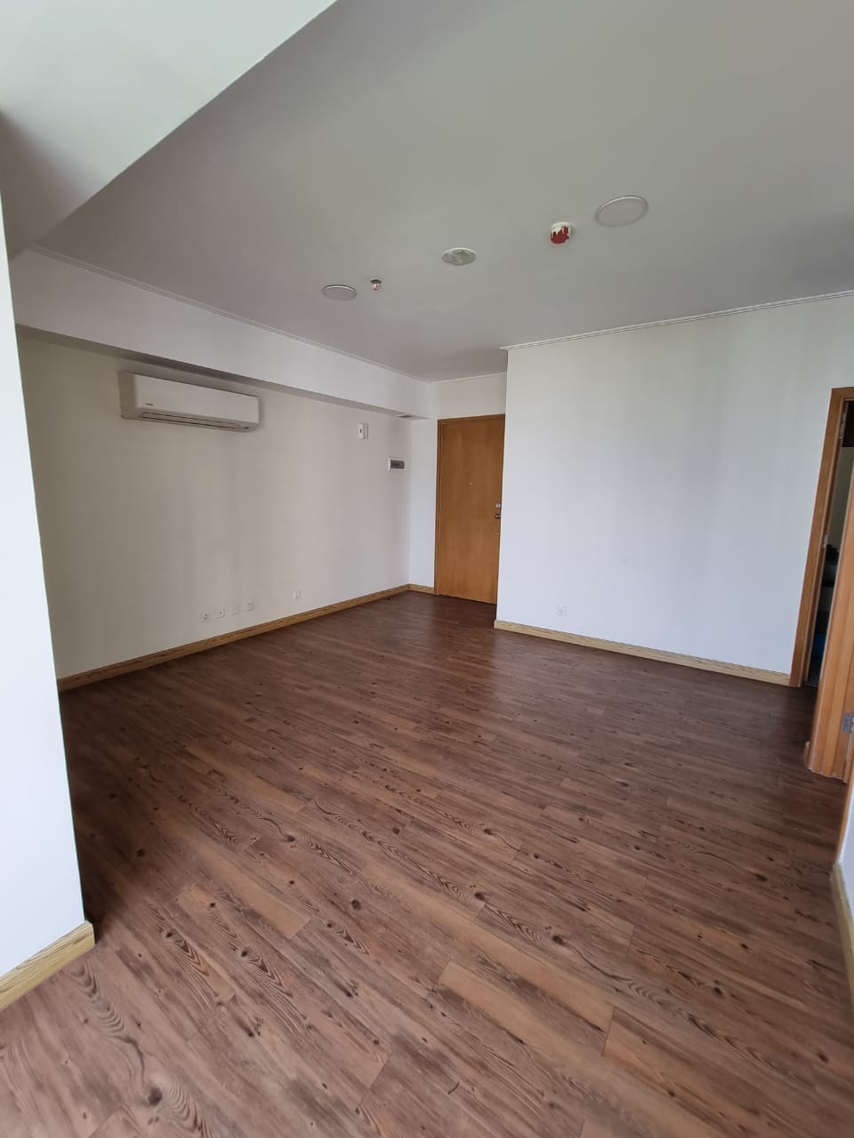 WhatsApp Image 2023-07-12 at 13.13.47