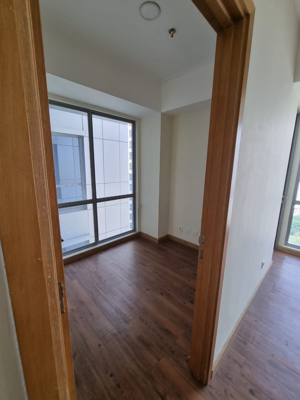 WhatsApp Image 2023-07-12 at 13.13.48